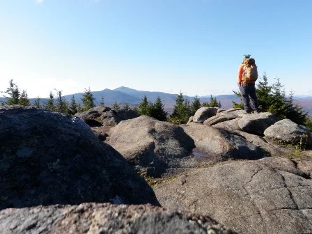28.webp