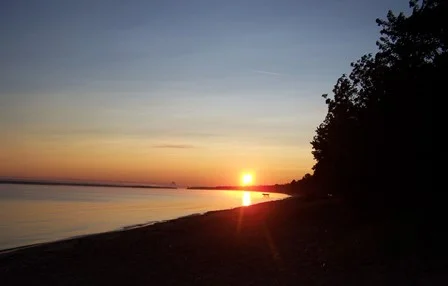 MichiganYES! 068.webp