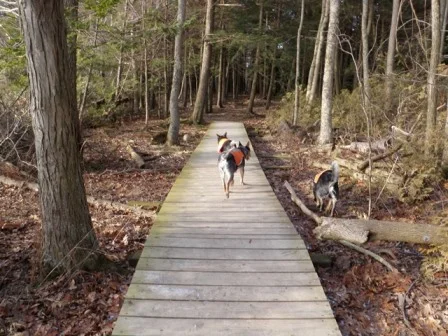 Boardwalk