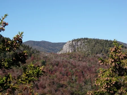 PA010022.webp