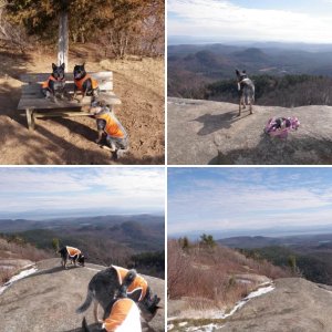 Poko-Moonshine Mtn.