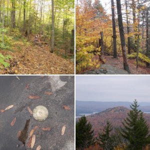 Coney Mtn