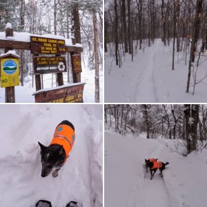St Regis Mtn (W)
