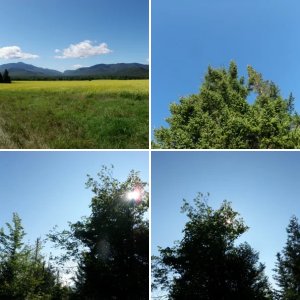 Mt. Jo