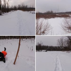 Ausable Marsh