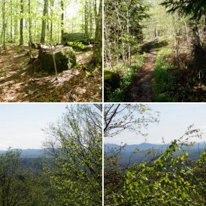 Sawyer Mountain