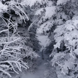 Trail to Porter