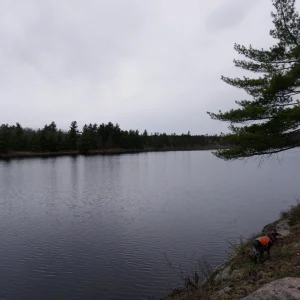 P4300025