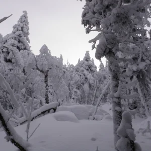 P2050033