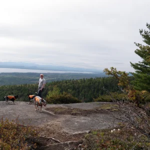 Enjoying the views