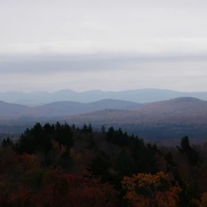 PA160071