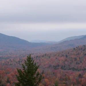 PA160072