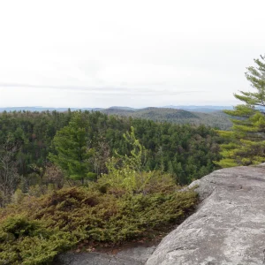 Views south