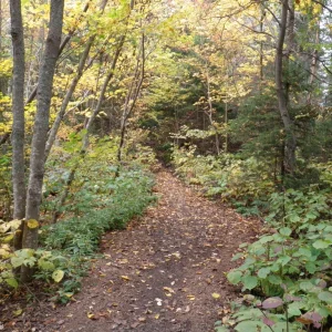P1010179