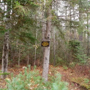 PA190003