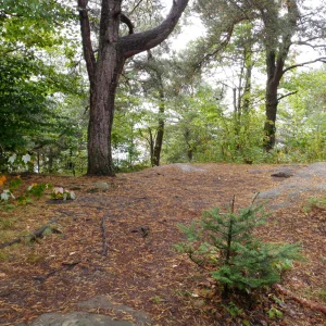 P9140208
