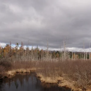 Beautiful country