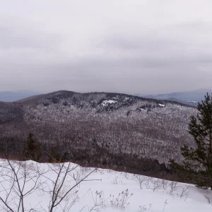 P3070028