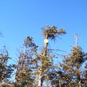 Donaldson_summit_08