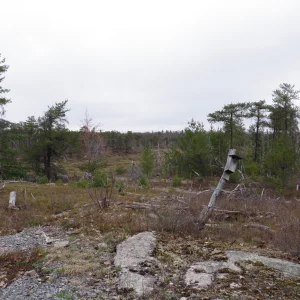 P4300018