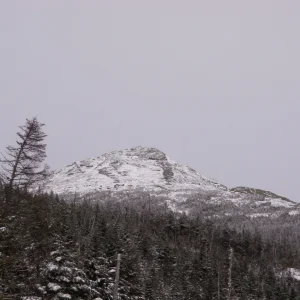 P3010013