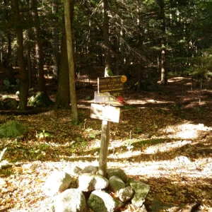 PA010006