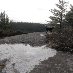 PC300037.jpg