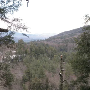P1050002.jpg