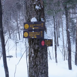 P1050031.jpg