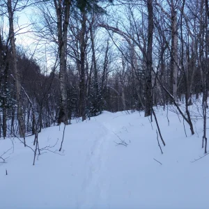 P1050032.jpg