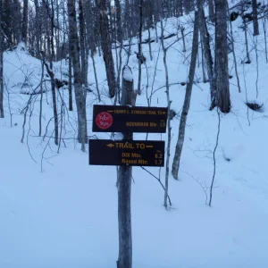P1050034.jpg