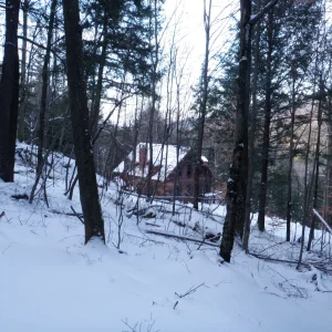 P1050035.jpg
