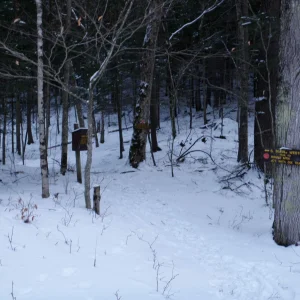 P1050036.jpg