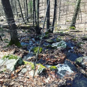 Image-9.jpg
