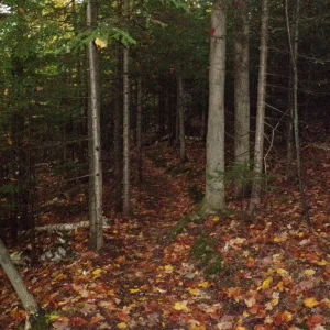 P9290002.JPG