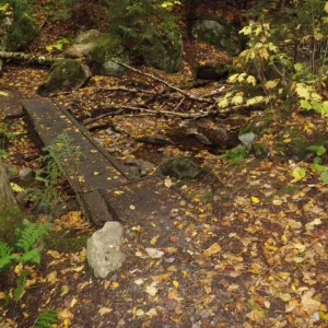 P9290003.JPG