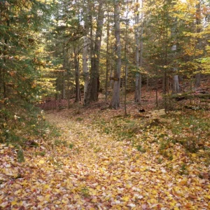 PA150013.JPG