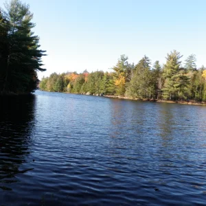 PA150015.JPG