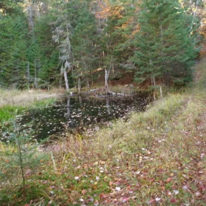 PA150017.JPG