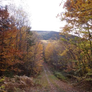 PA150023.JPG