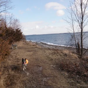 P1010001.jpg