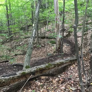 And we go up