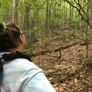 A little break