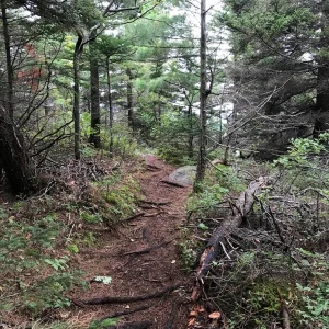 On the ridge