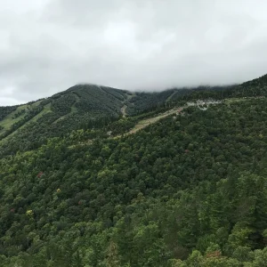 First views