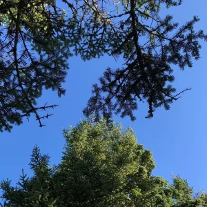 Summit break view