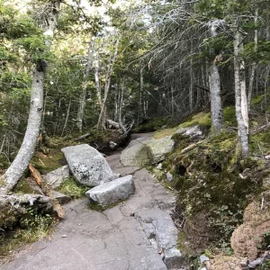 Steep
