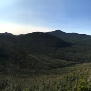 Panoramic