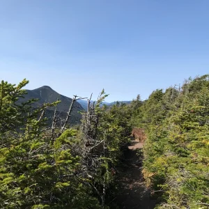 Ridge trail.