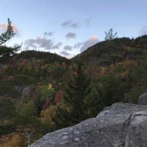 Lots of colors